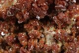 Glittering Ruby Red Vanadinite Crystals on Barite - Morocco #349431-1